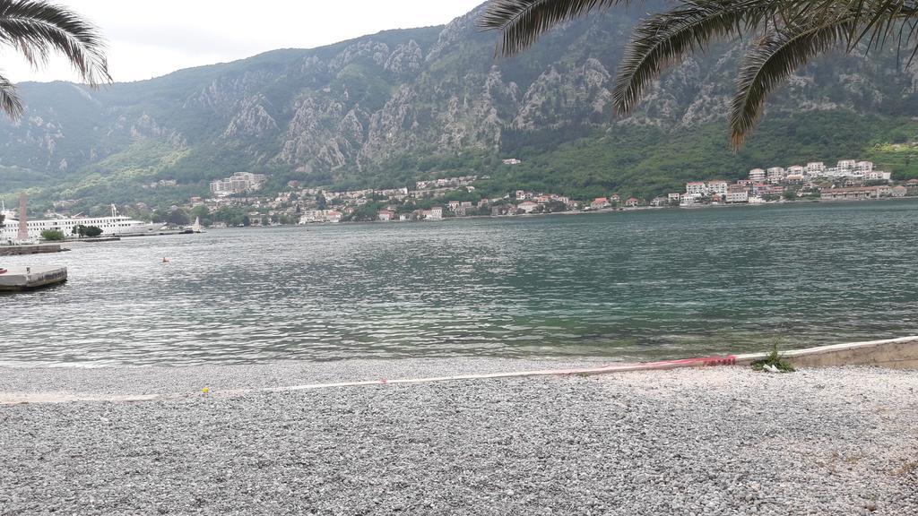Apartment Todor Kotor Kültér fotó